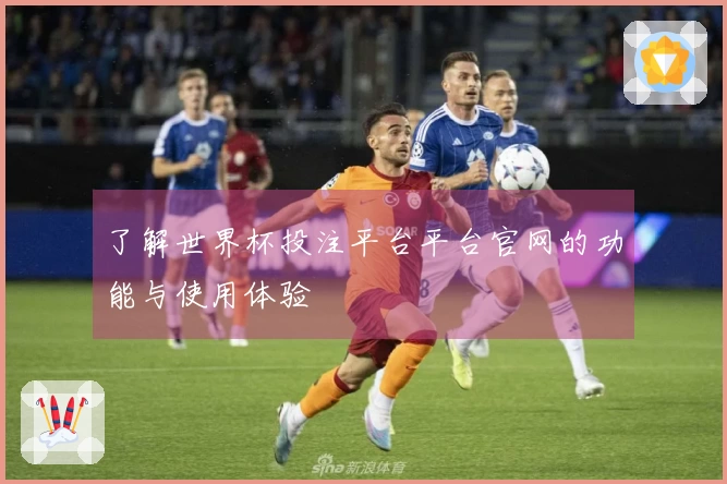 了解世界杯投注平台平台官网的功能与使用体验