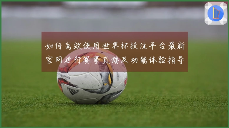 如何高效使用世界杯投注平台最新官网进行赛事直播及功能体验指导