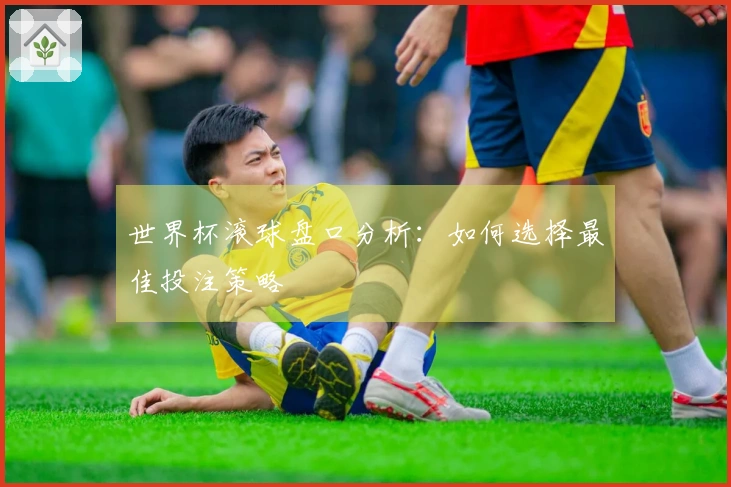 世界杯滚球盘口分析：如何选择最佳投注策略