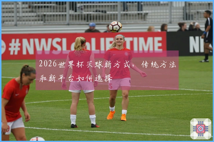 2026世界杯买球新方式，传统方法和新平台如何选择