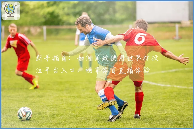 新手指南：如何高效使用世界杯投注平台入口，畅享体育直播体验