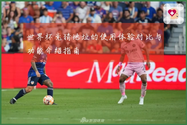 世界杯竞猜地址的使用体验对比与功能介绍指南
