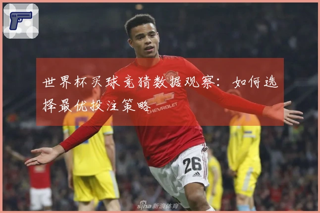 世界杯买球竞猜数据观察：如何选择最优投注策略