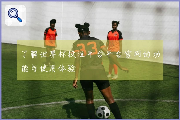 了解世界杯投注平台平台官网的功能与使用体验