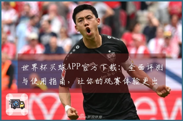 世界杯买球APP官方下载：全面评测与使用指南，让你的观赛体验更出色